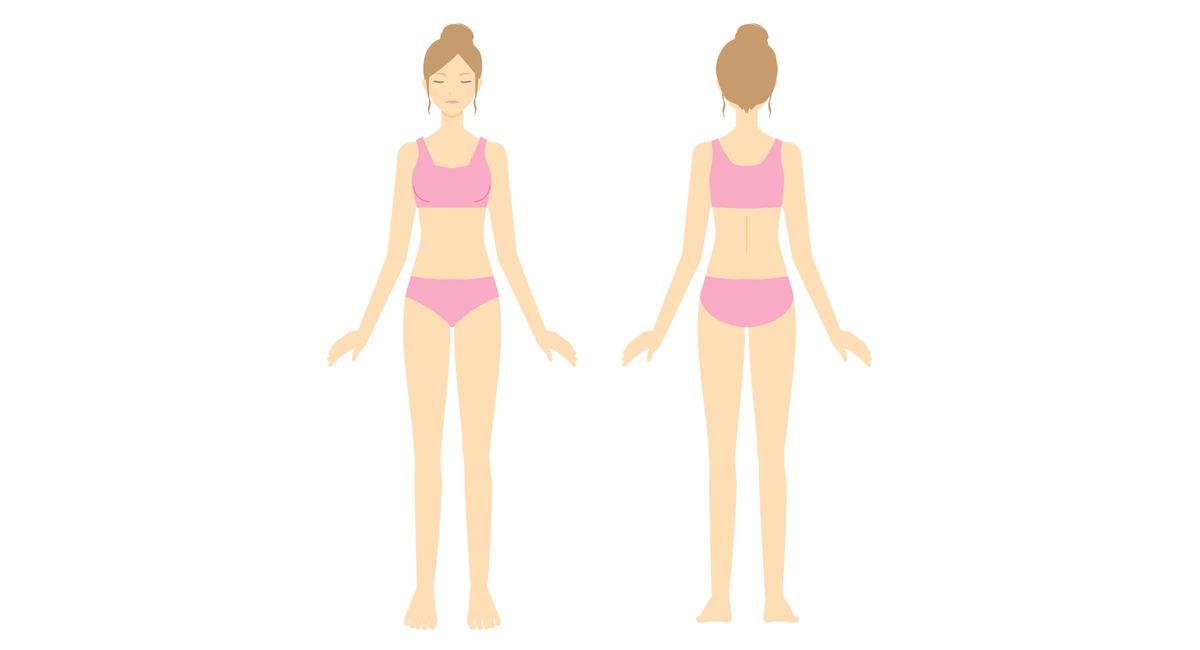 筋肉のバランス